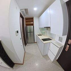 Laurel Tree (D23), Apartment #484545141